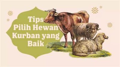 Tips Memilih Hewan Kurban: Sehat, Cukup Umur, Dan Tak Cacat