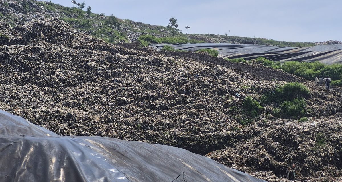 HPSN 2026: Intip Tema Dan Sejarah Singkatnya Di Sini!