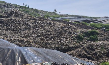 HPSN 2026: Intip Tema Dan Sejarah Singkatnya Di Sini!