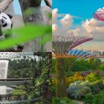 3 Spot Wajib Singapura: Liburan Singkat, Kesan Maksimal!