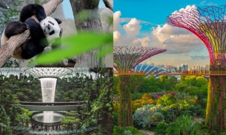 3 Spot Wajib Singapura: Liburan Singkat, Kesan Maksimal!