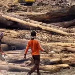 Dampak Zero Burning Yang Wajib Di Ketahui