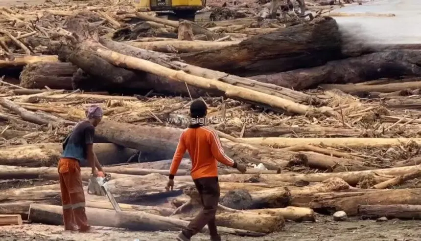 Dampak Zero Burning Yang Wajib Di Ketahui