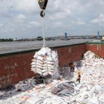 Gak Cuma Beras, Ratusan Ribu Ayam Dari AS Juga Ikut Masuk RI