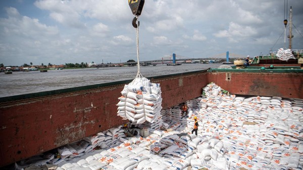Gak Cuma Beras, Ratusan Ribu Ayam Dari AS Juga Ikut Masuk RI