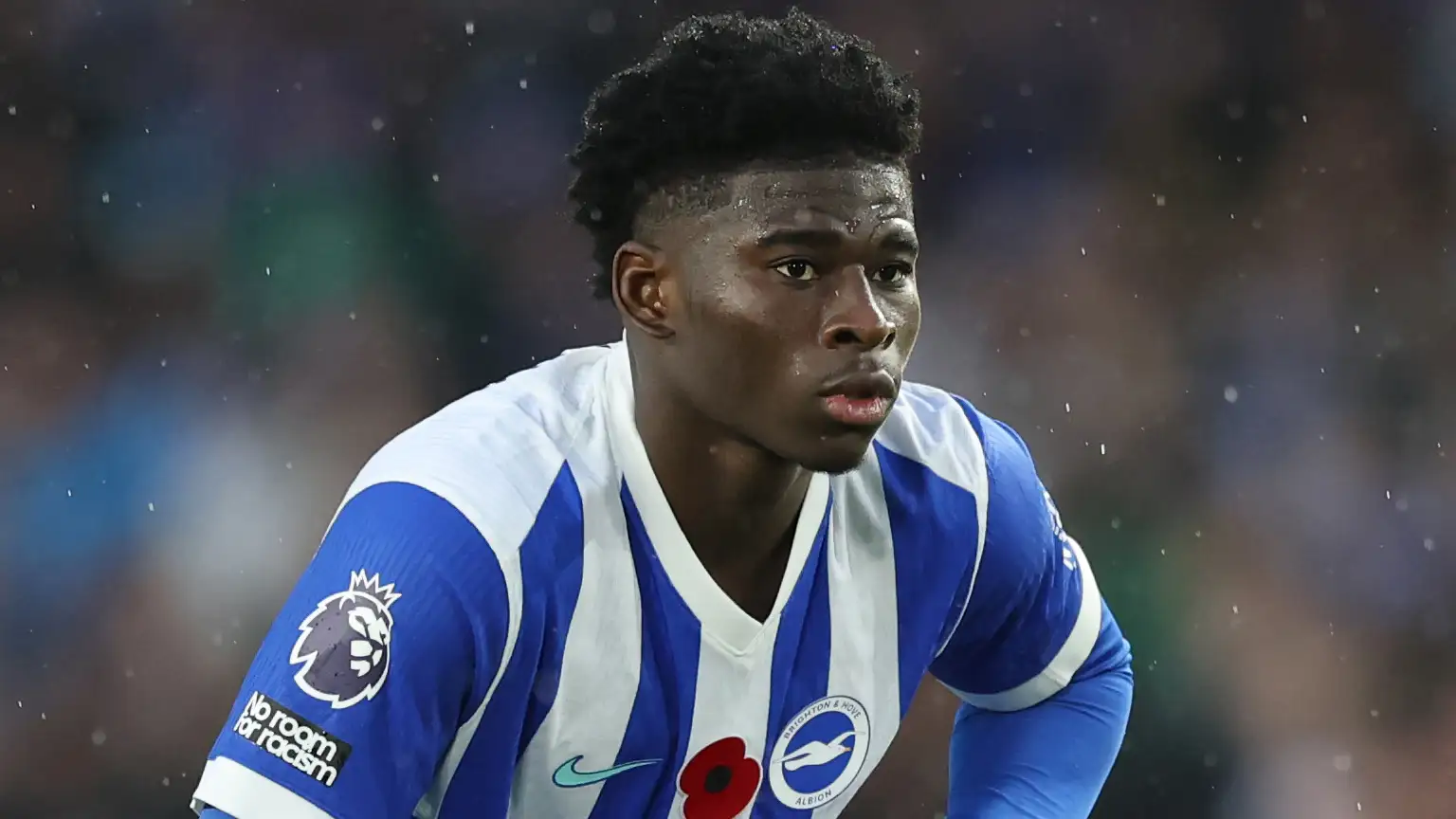 Jejak Karier Carlos Baleba Sang Gelandang Bertubuh Kuat