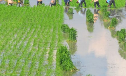 Jangan Main-Main! Alih Fungsi Lahan Undang Wabah