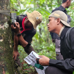 Teknologi TreeStructor: Jadi Teropong Peneliti Di Tengah Hutan