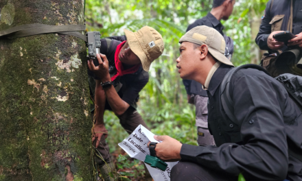 Teknologi TreeStructor: Jadi Teropong Peneliti Di Tengah Hutan