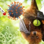 Virus Nipah Ramai, Dokter: Jangan Panik Dulu