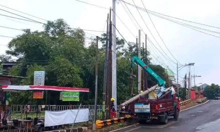 Solusi Hukum Jika Lahan Anda Di Pakai PLN Tanpa Izin